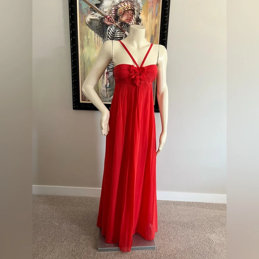 BCBGMaxAzria Vibrant Red 100% Silk Maxi Dress – Size 0 - Picture 3 of 16